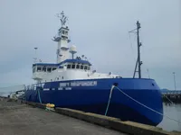 Vilktukas parduodamas