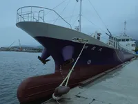 General Cargo/Multi-purpose parduodamas