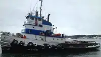 Vilkikas Parduodama