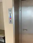 Kruizinis-keltas parduodamas