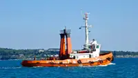 Vilkikas Parduodama
