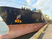 Birių krovinių laivas Parduodama