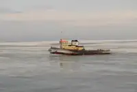 Vilkikas Parduodama