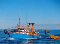 Trawler Parduodama