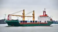 Birių krovinių laivas Parduodama