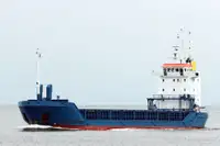 Birių krovinių laivas Parduodama