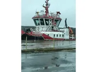 Vilktukas parduodamas