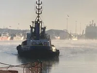 Vilktukas parduodamas