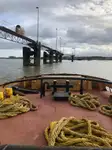 Vilktukas parduodamas