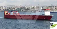 Ro-Ro ship Parduodama