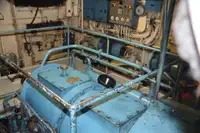 Vilktukas parduodamas