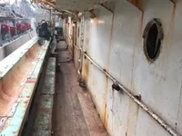 Kalmarų gaudytojas parduodamas