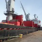 Birių krovinių laivas Parduodama