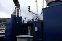 Vilktukas parduodamas