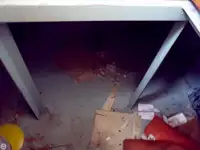 Vilktukas parduodamas