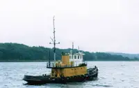 Vilktukas parduodamas