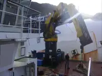 Vilktukas parduodamas