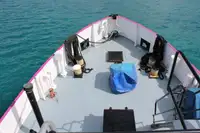 General Cargo/Multi-purpose parduodamas