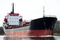 Birių krovinių laivas Parduodama