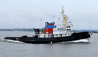 Vilktukas parduodamas