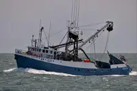 Žiedinis traleris parduodamas