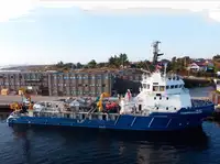 Vilkikas Parduodama