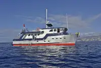 Vilktukas parduodamas