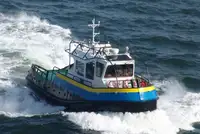 Vilktukas parduodamas