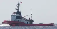 Vilktukas parduodamas