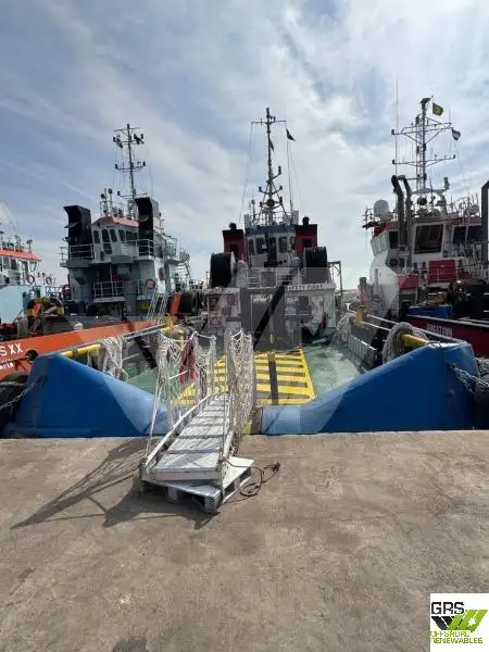 Vilktukas parduodamas
