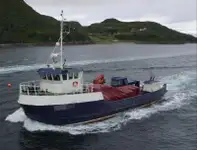 Darbiniai laivai parduodamas