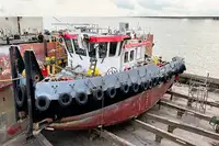 Vilktukas parduodamas