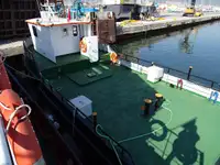 Vilktukas parduodamas