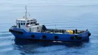 Vilktukas parduodamas