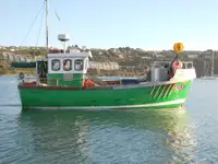Keleivinis laivas parduodamas