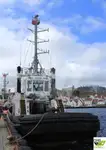 Vilktukas parduodamas