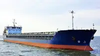Birių krovinių laivas Parduodama