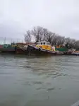 Vilkikas Parduodama