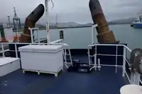 Vilktukas parduodamas