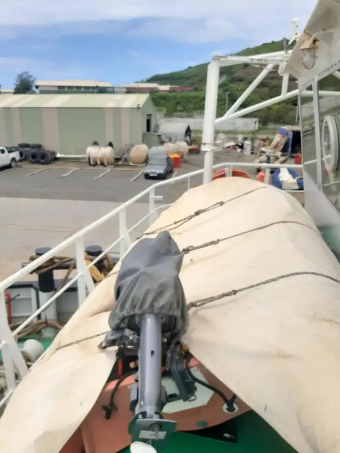 Vilktukas parduodamas