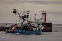 Žiedinis traleris parduodamas