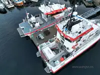 Vilktukas parduodamas