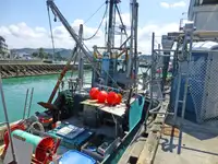 Trawler Parduodama