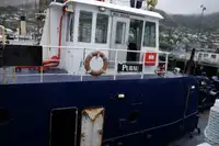 Vilktukas parduodamas