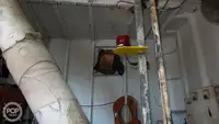 Vilktukas parduodamas