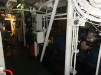 Vilkikas Parduodama