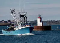 Purse seiner Parduodama