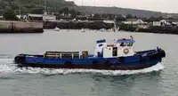 Vilkikas Parduodama