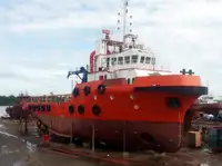 Birių krovinių laivas Parduodama