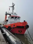 Vilktukas parduodamas